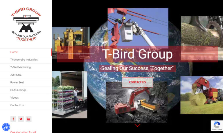T-Bird Group